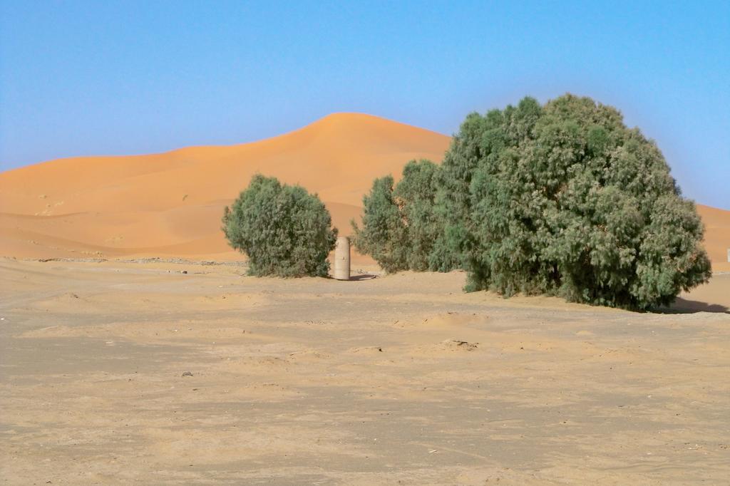 Kasbah Tamariste Panzió Merzuga Kültér fotó