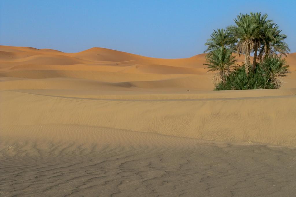 Kasbah Tamariste Panzió Merzuga Kültér fotó