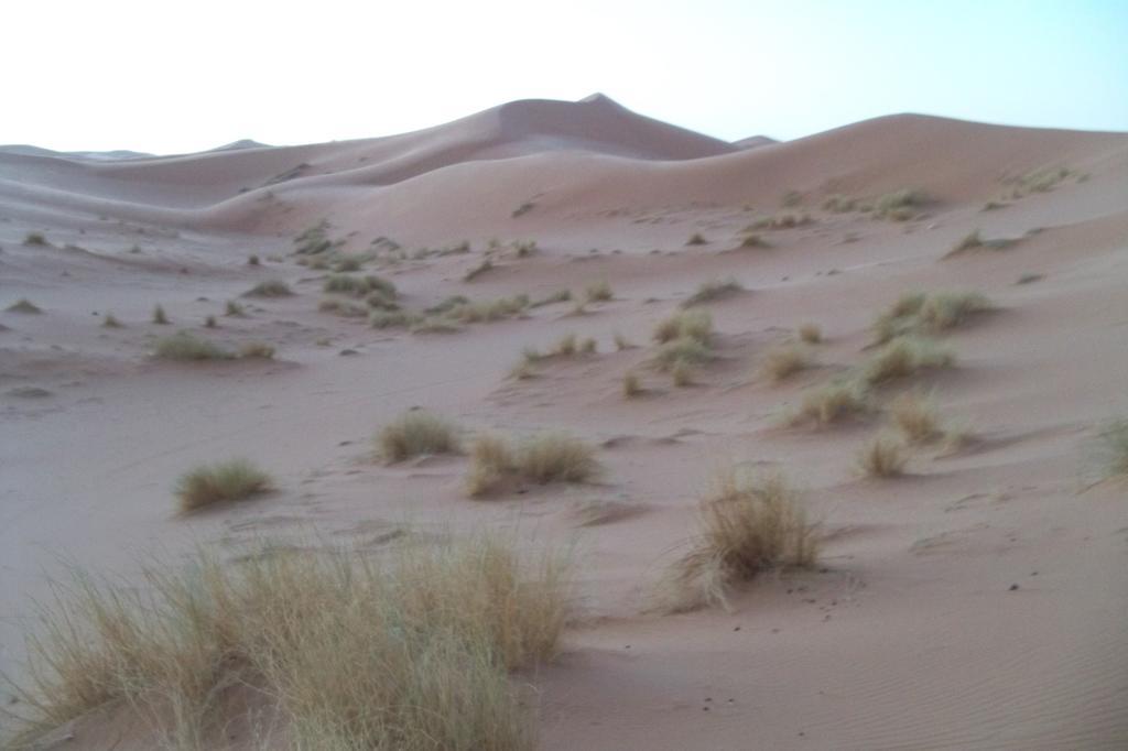 Kasbah Tamariste Panzió Merzuga Kültér fotó