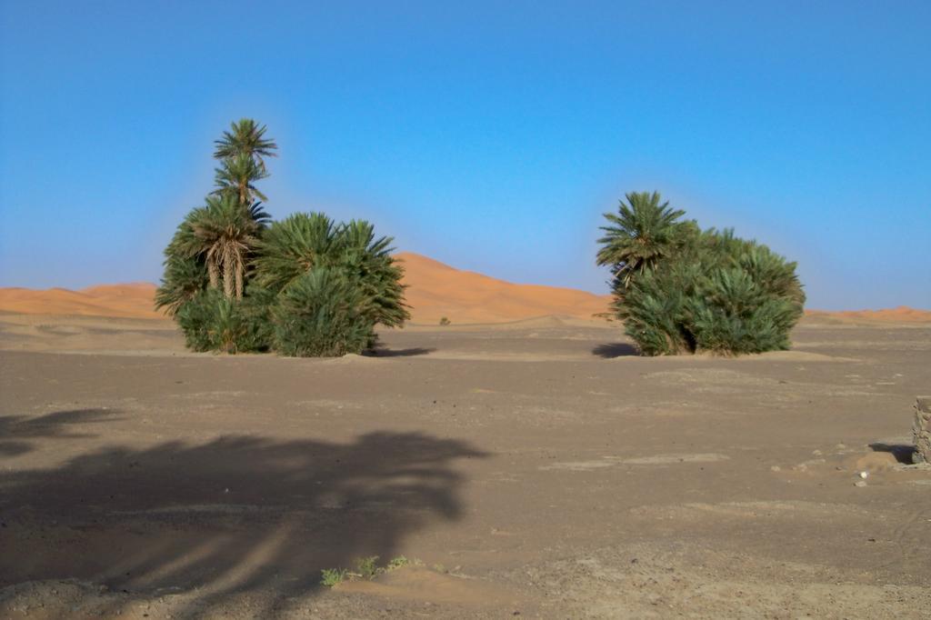 Kasbah Tamariste Panzió Merzuga Kültér fotó